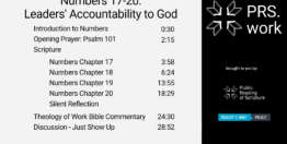 Numbers Chapters 17-20: Leaders&#8217; Accountability to God (29 minutes)